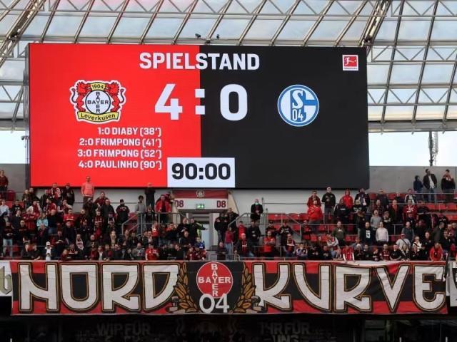 欧洲杯-沙尔克换不换帅都无解？当心升回德甲一年游